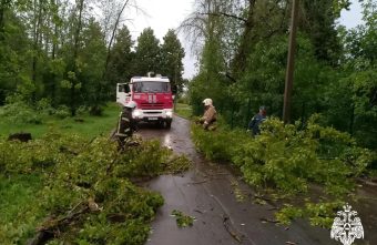 Упавшие из-за непогоды деревья завалили дороги в Тверской области Упавшие из-за непогоды деревья завалили дороги в Тверской области