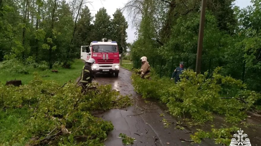 Упавшие из-за непогоды деревья завалили дороги в Тверской области