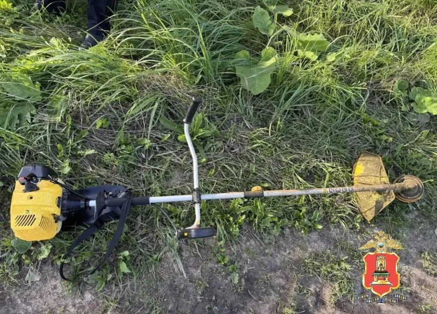 В Тверской области мужчина похитил у односельчанина чужой бензотриммер