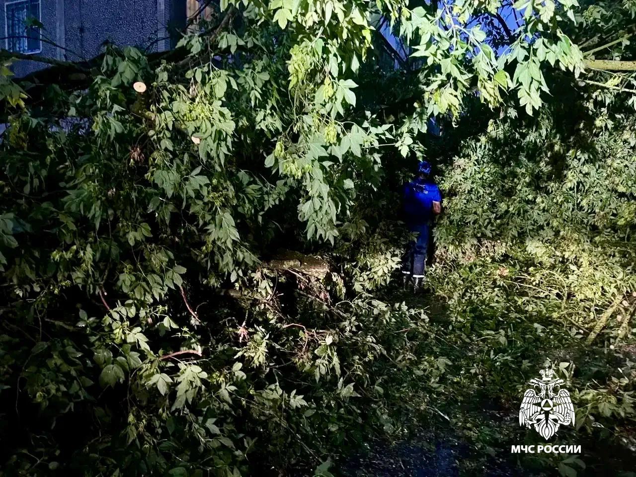 В Тверской области продолжают ликвидировать последствия непогоды