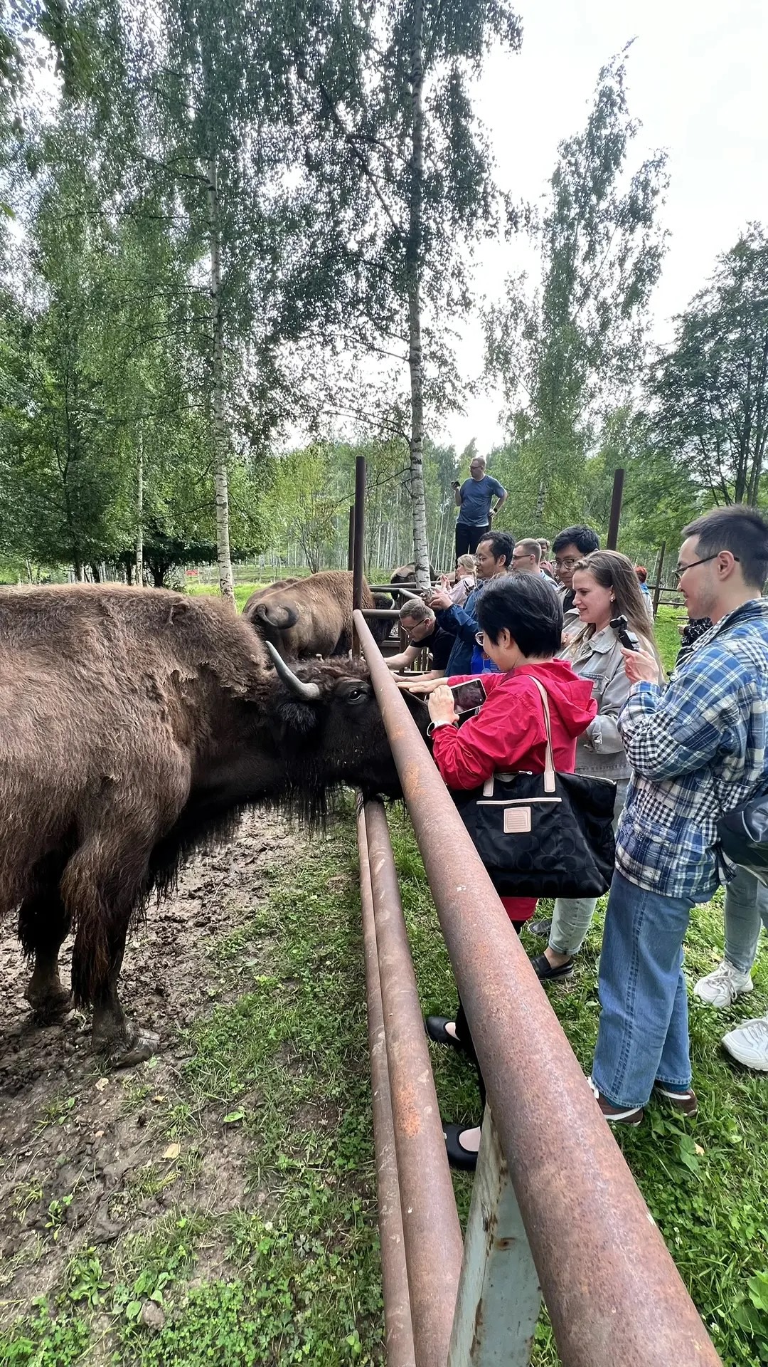 Китайские журналисты посетили еще один город Тверской области