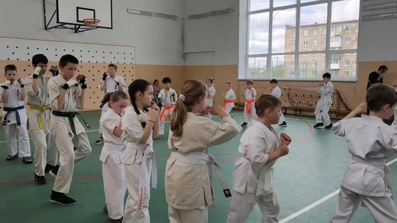 В Торопце завершился проект «Спорт детям: развитие карате Киокусинкай в малом городе»