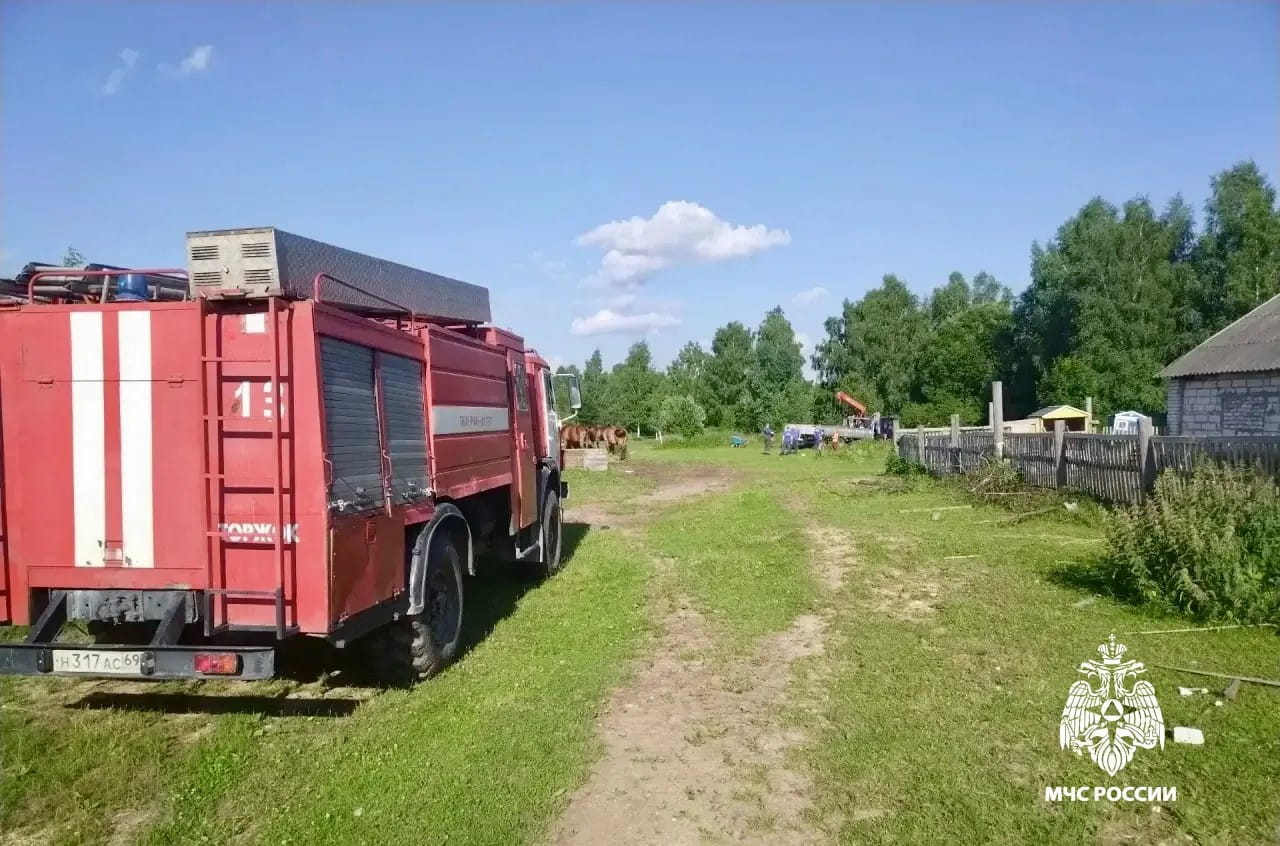 пони
