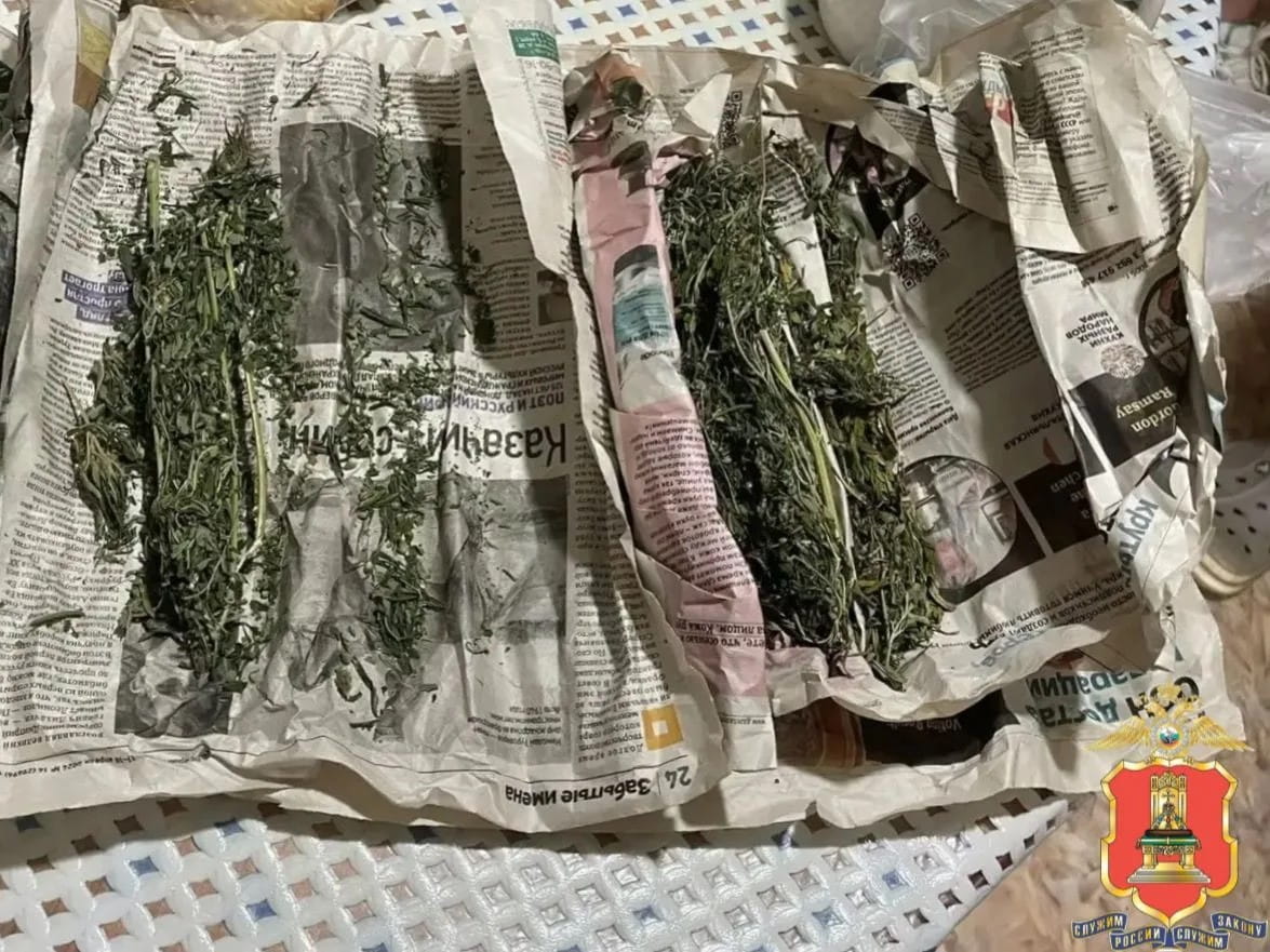 коноплю