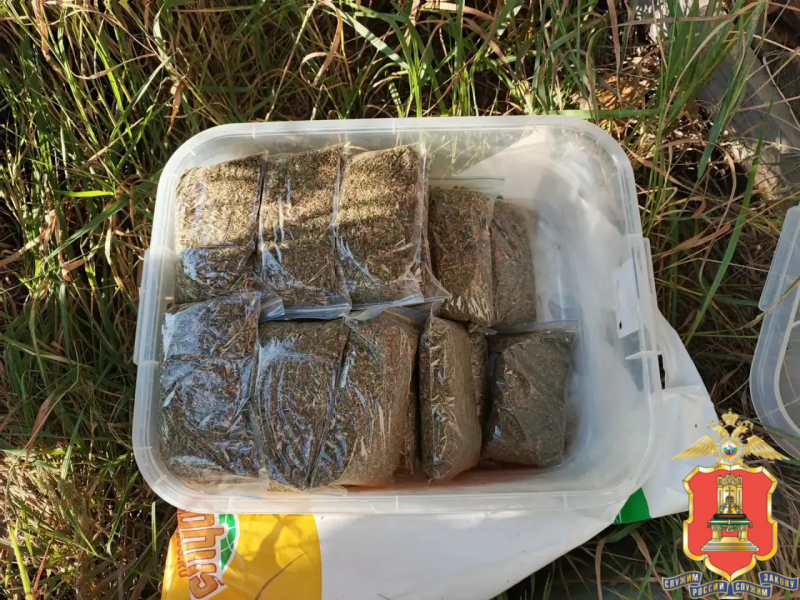 пакетов