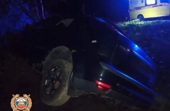 дерево