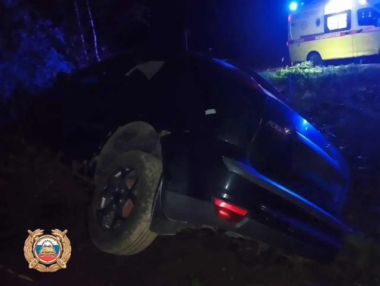 дерево