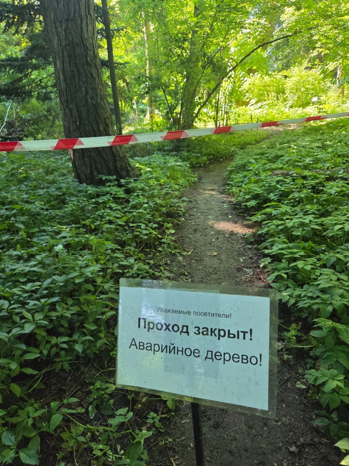В Твери закрыли часть ботанического сада