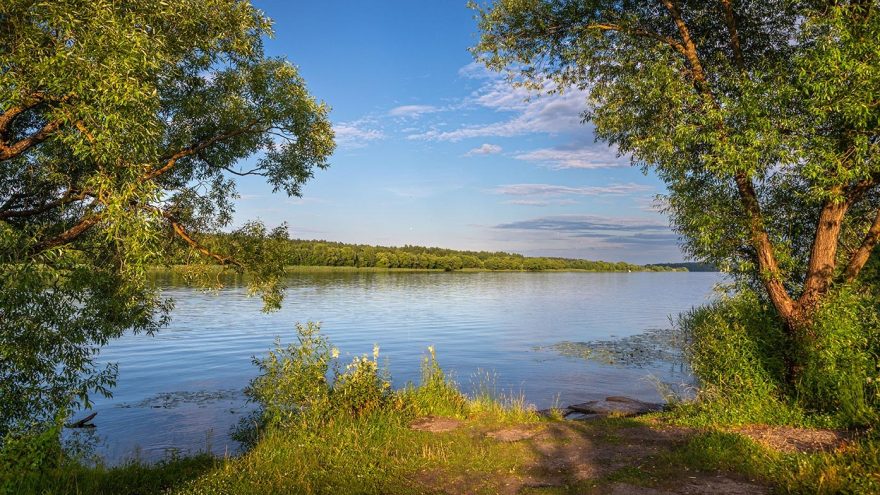 погода
