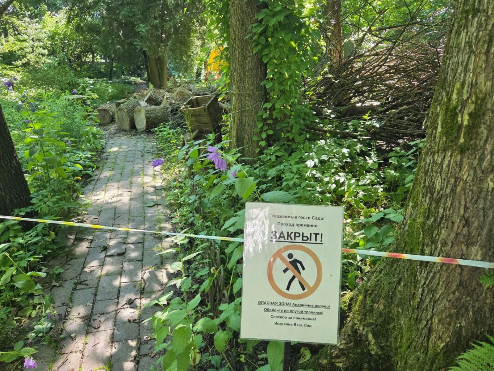 В Твери закрыли часть ботанического сада