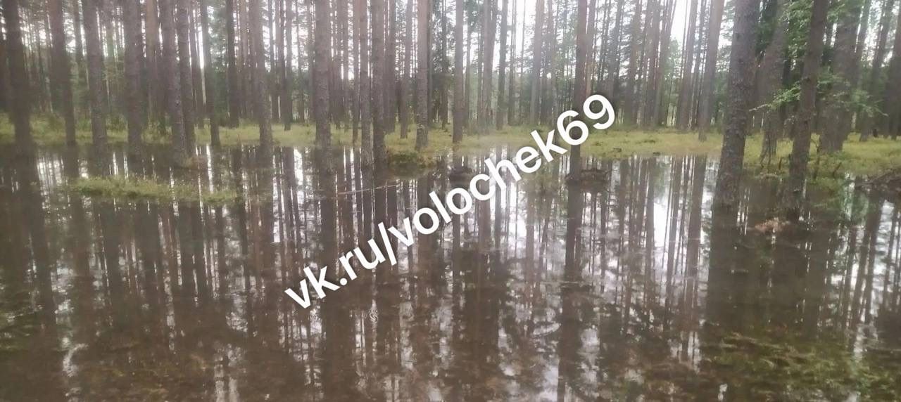 В Тверской области вода подошла к самой деревне