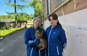 кошку