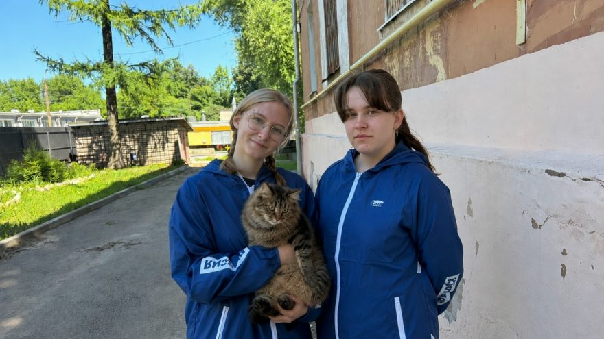 кошку