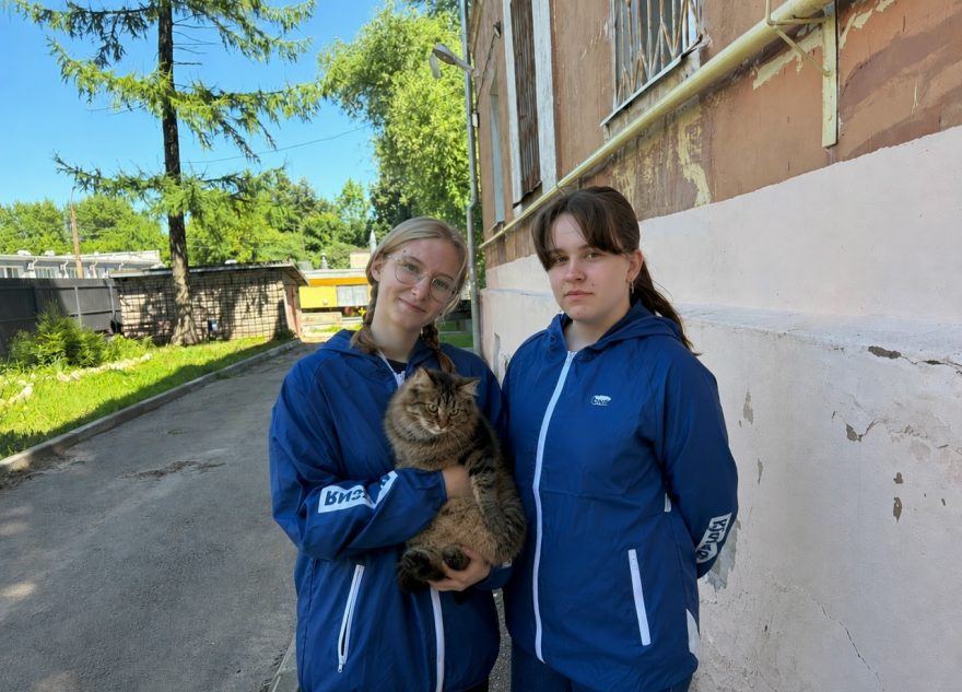 кошку