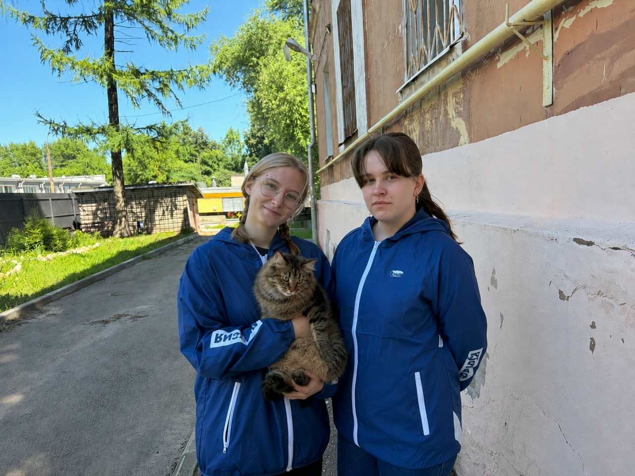 кошку