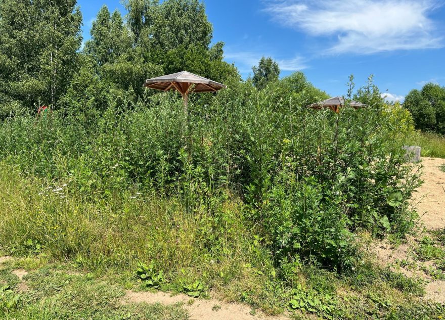 пляж