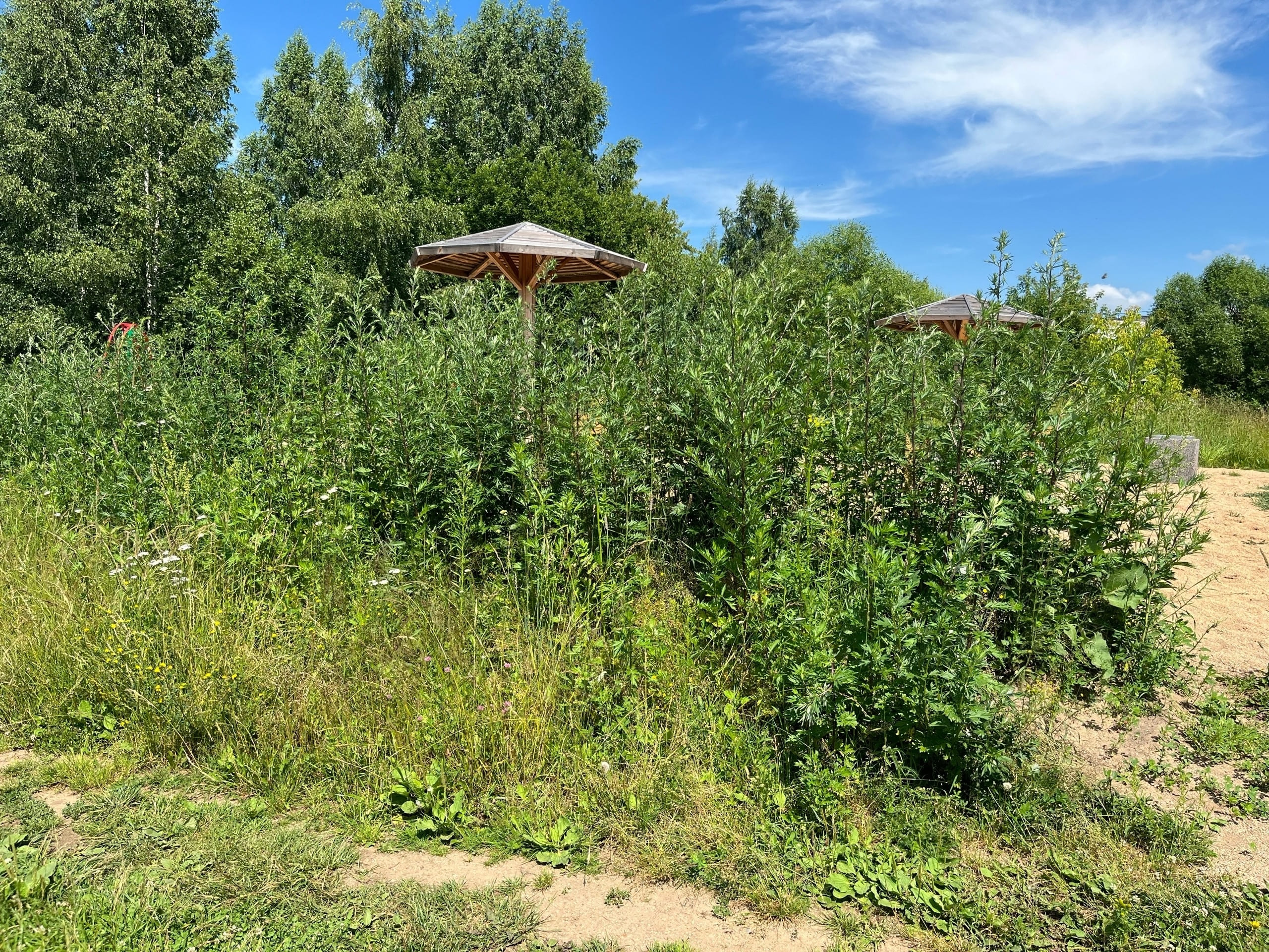 пляж