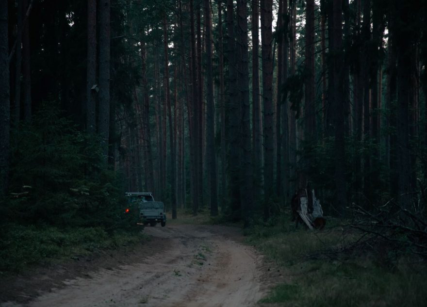 патроны