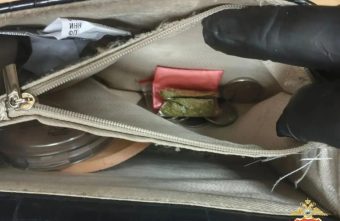 В Твери задержали девушку с мефедроном и марихуаной в сумочке Твери