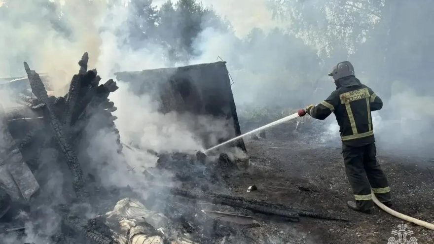 области