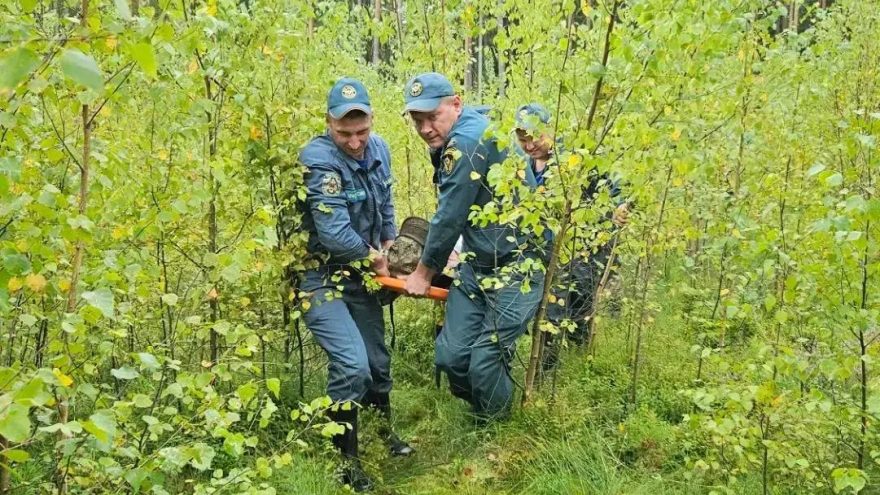 области