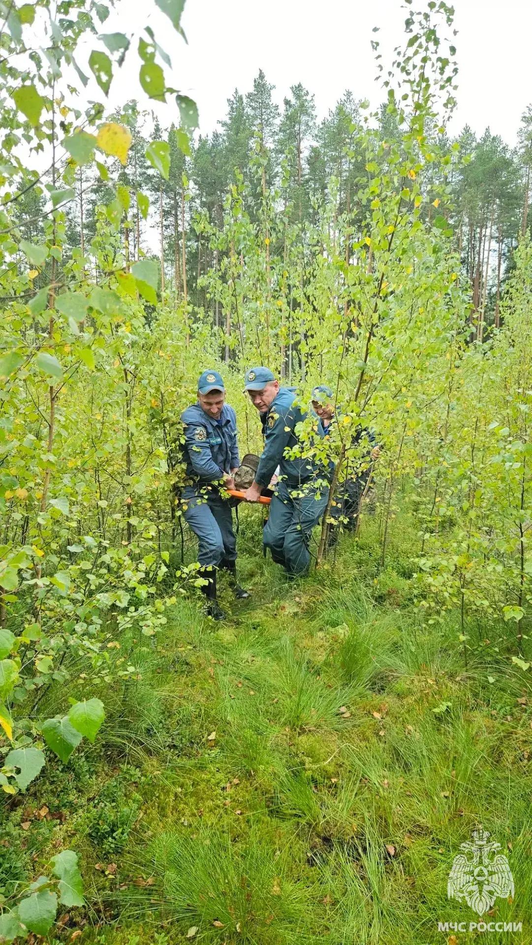 области