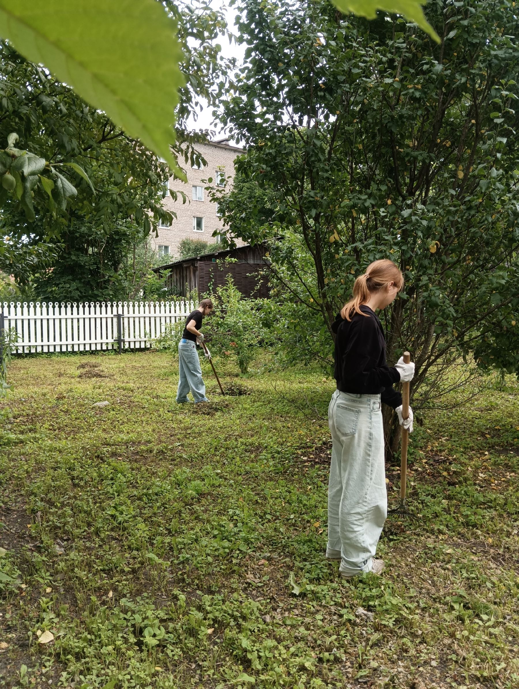 библиотеке