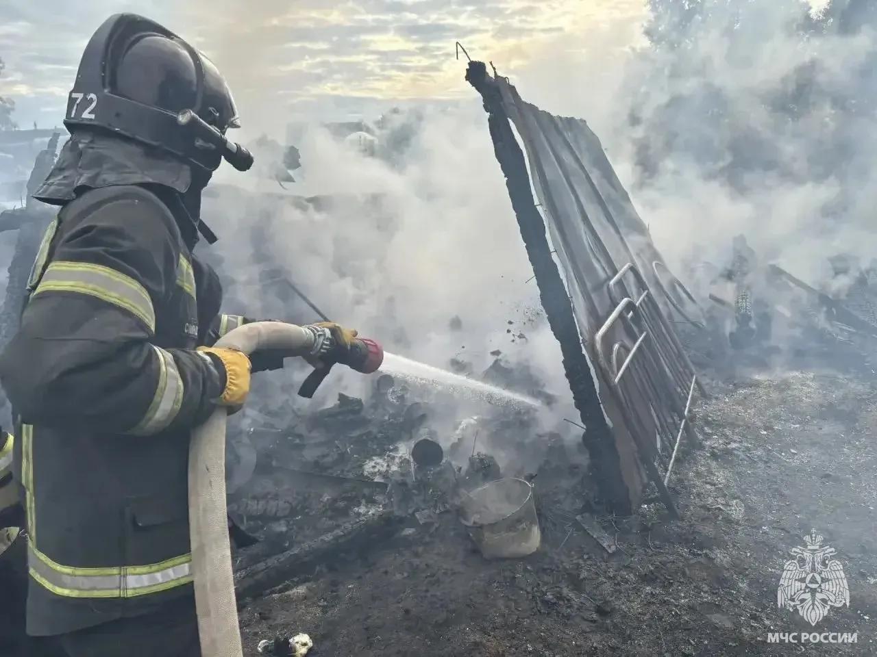 В Тверской области из-за неисправной проводки сгорел дачный дом