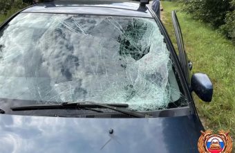 В результате ДТП в Тверской области погиб водитель мопеда ДТП