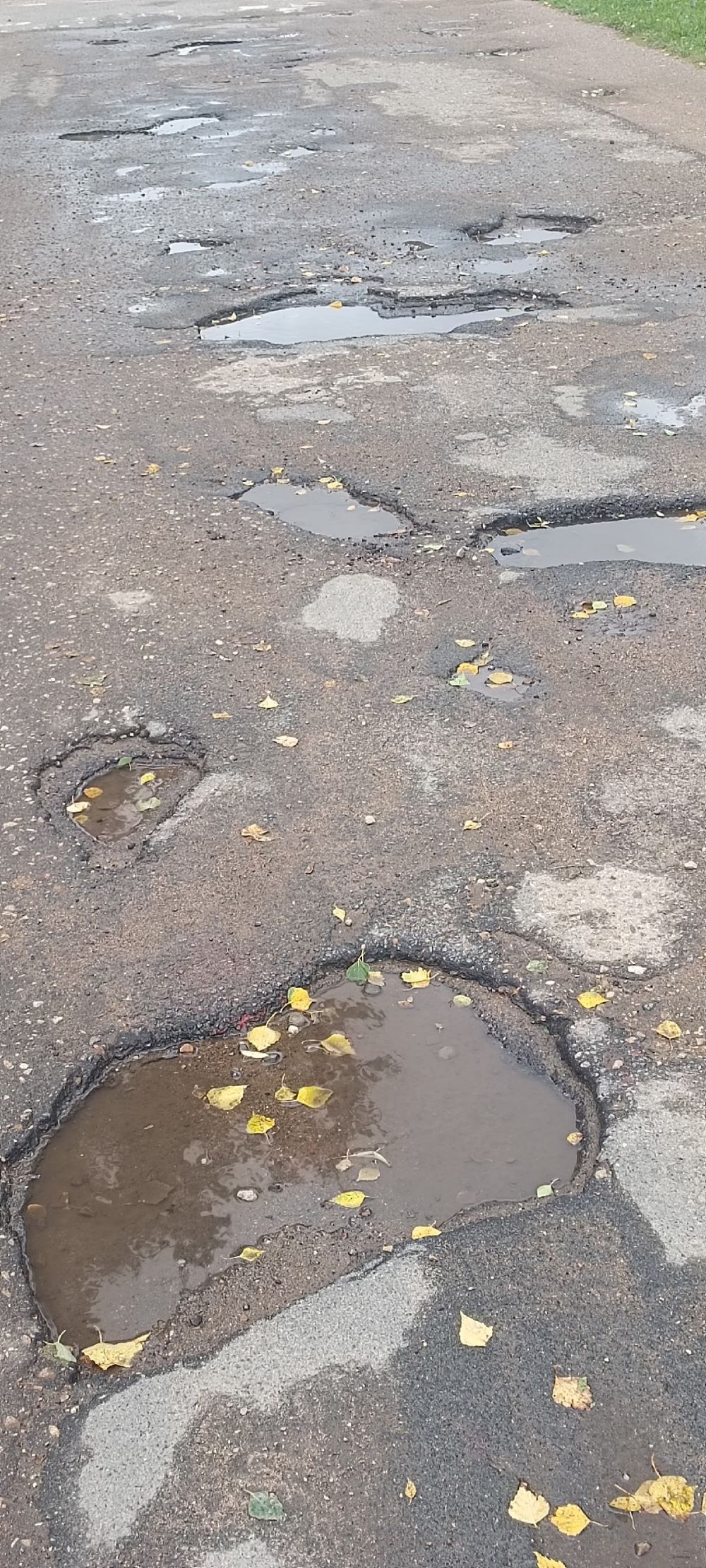 В Тверской области дорога в школу напоминает фронтовую