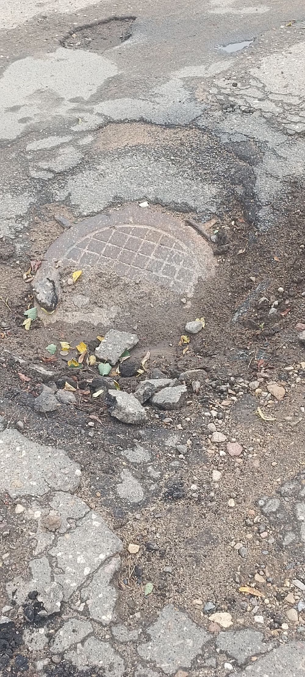 В Тверской области дорога в школу напоминает фронтовую