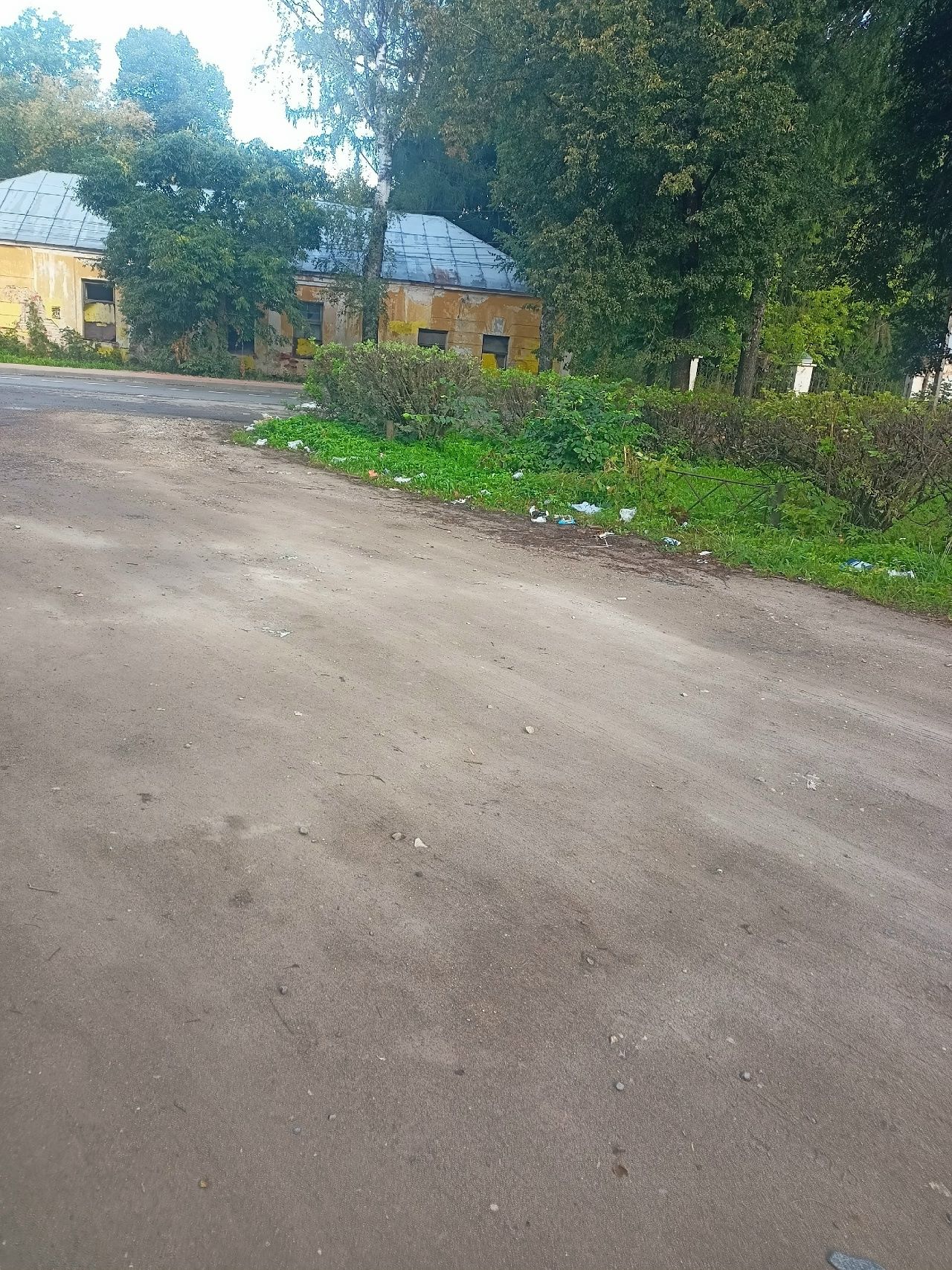 В Тверской области посреди мусора выживает уникальный памятник природы