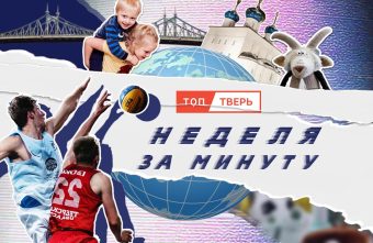 «Неделя за минуту»: дикие звери, редкие грибы и спорт Неделя