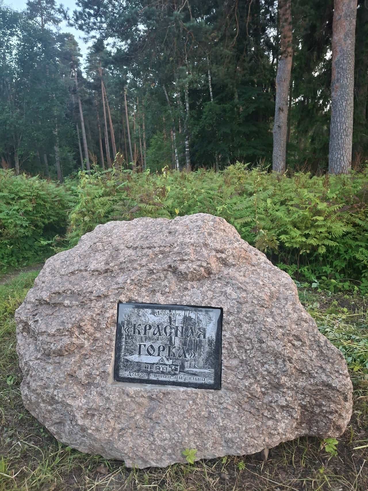 путевые