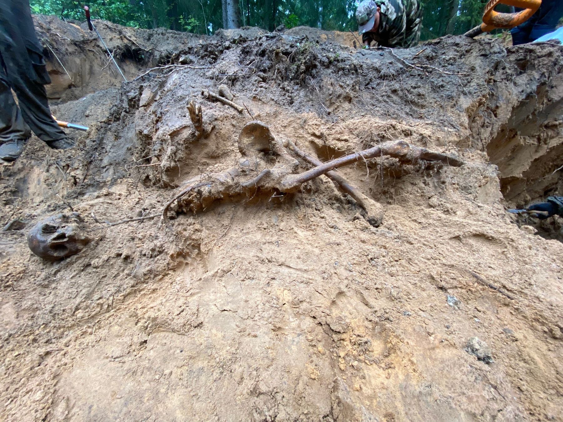 В Тверской области поисковики подняли санитарное захоронение воинов