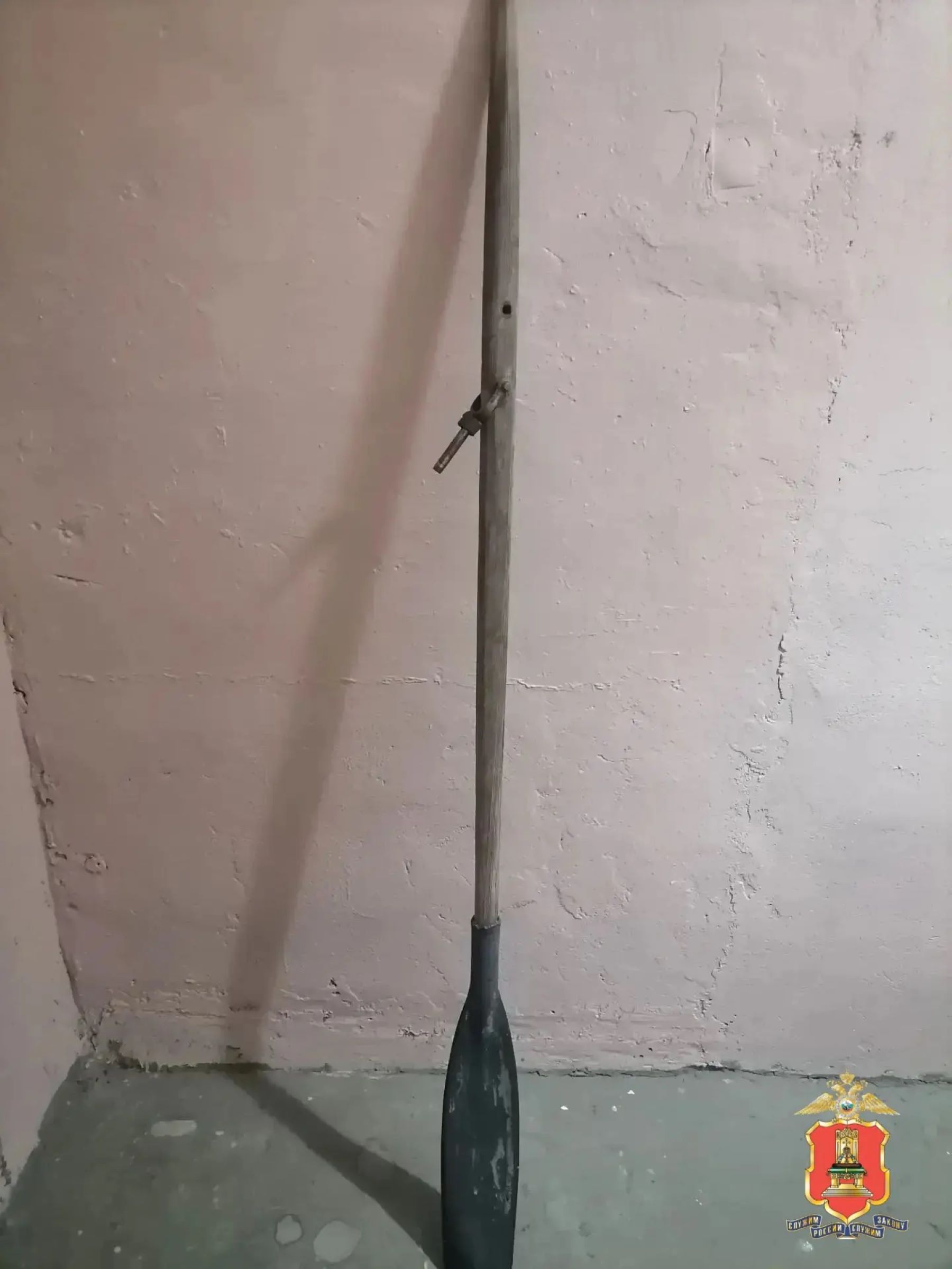 жену