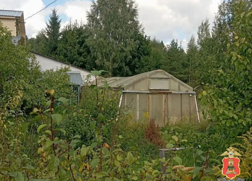 коноплей