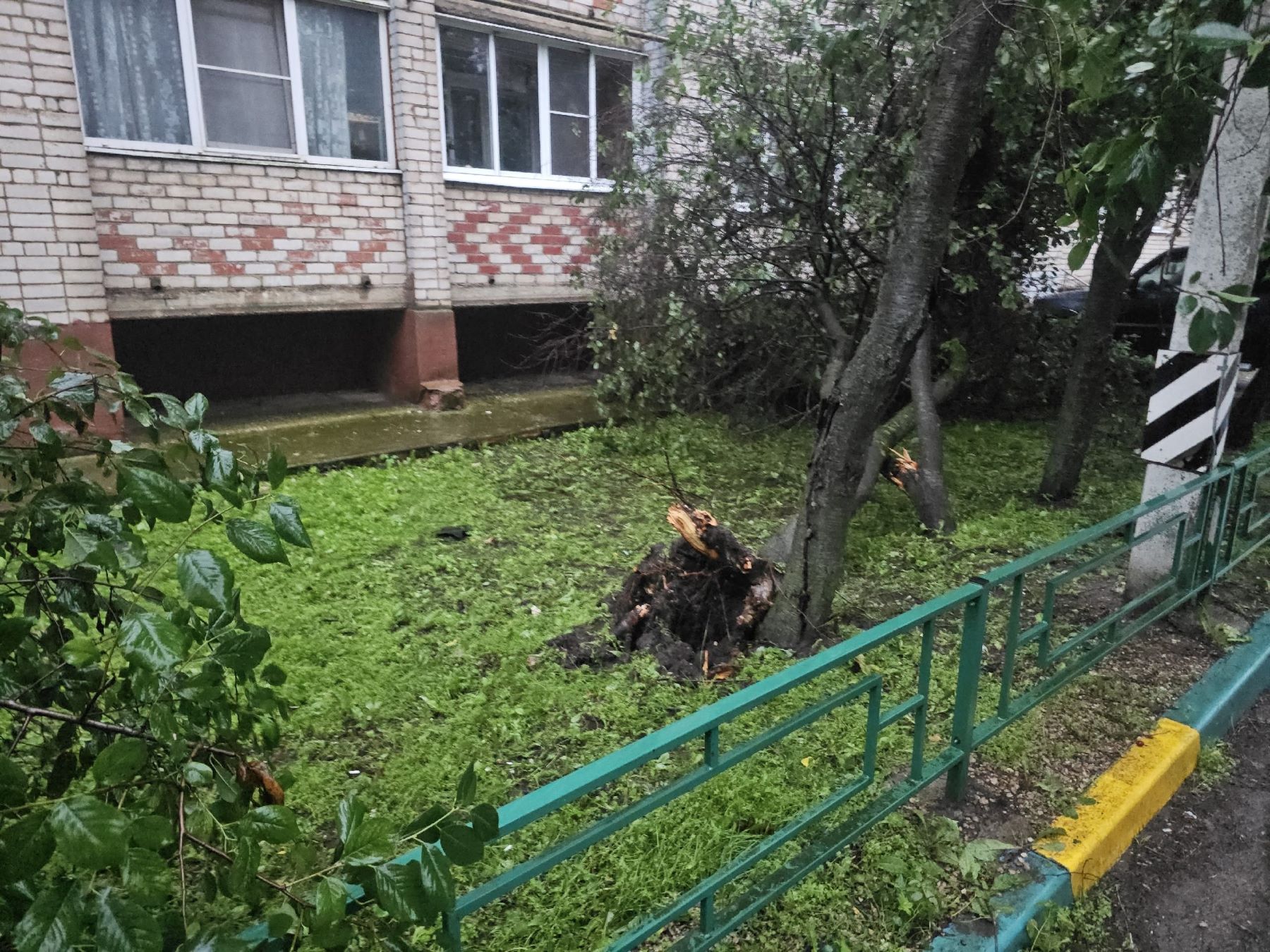 Жители Тверской области благодарят предпринимателя за помощь в благоустройстве территории после урагана