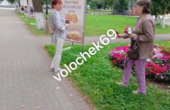В Тверской области сфотографировали разорительниц городских клубм клумб