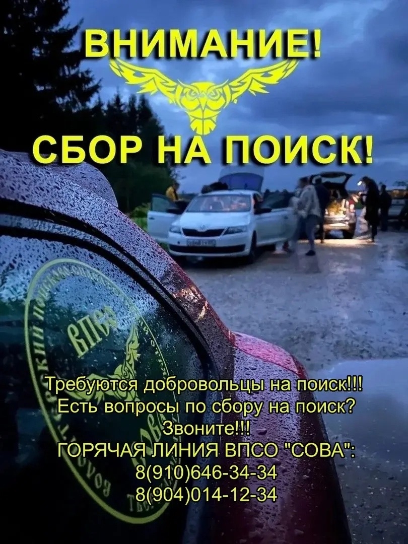 Жителей Тверской области просят помочь в поисках пропавшего в лесу мальчика
