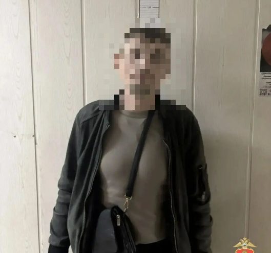 искателя