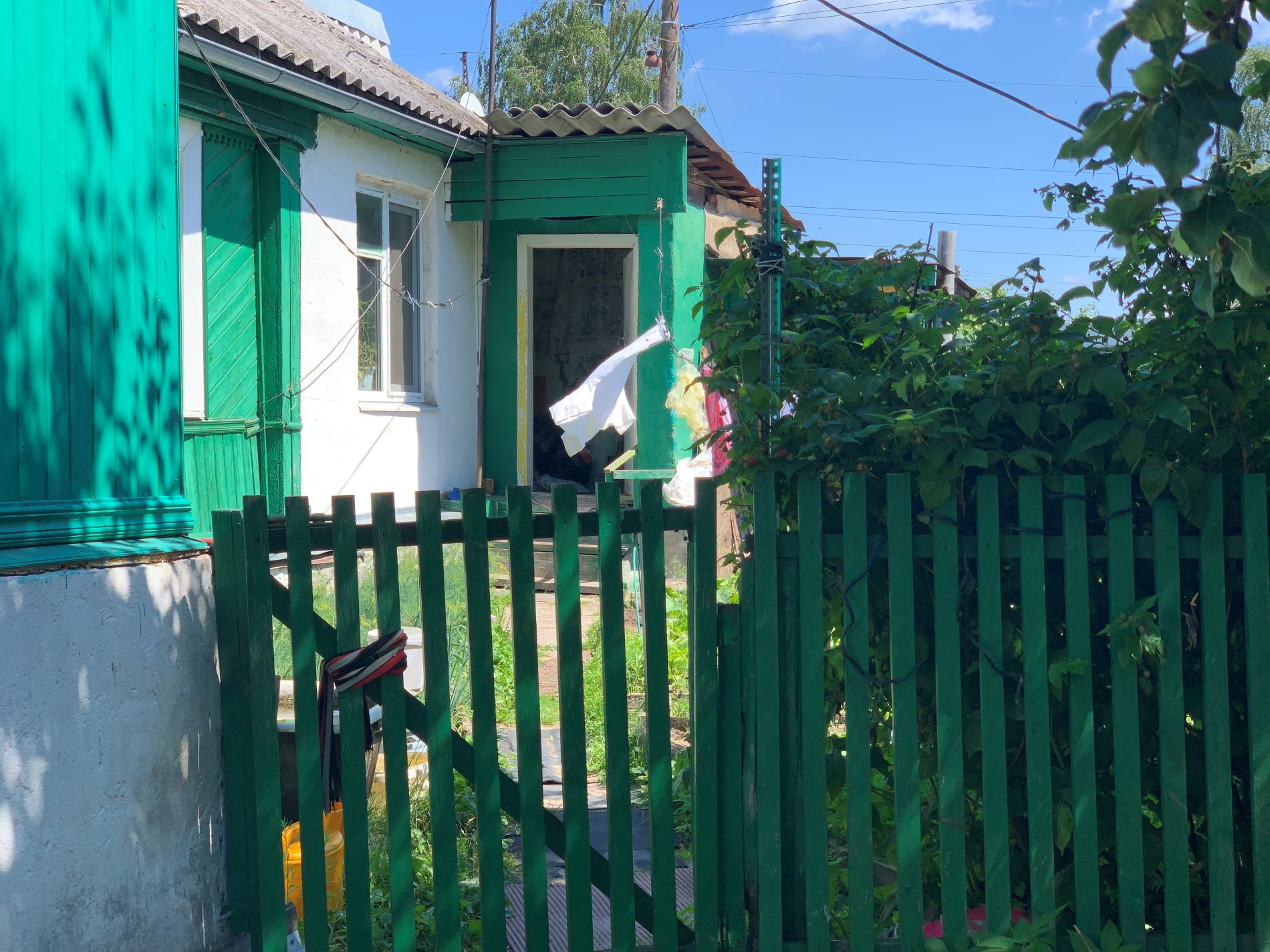 ревеня