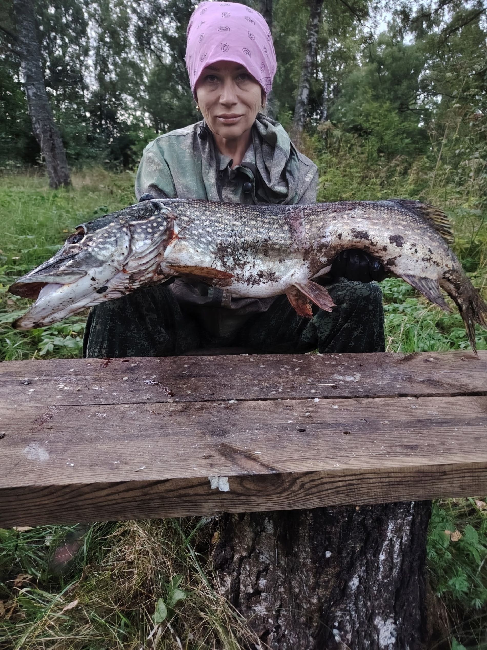 щуку