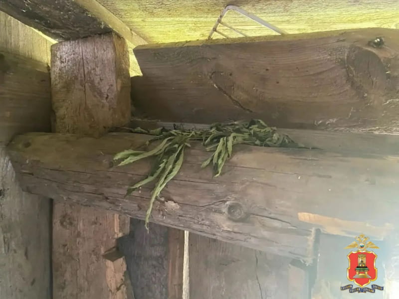 У жителя Тверской области нашли наркотики, оружие и боеприпасы