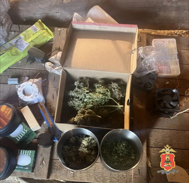 В доме у жителя Тверской области нашли коноплю, ружьё и боеприпасы