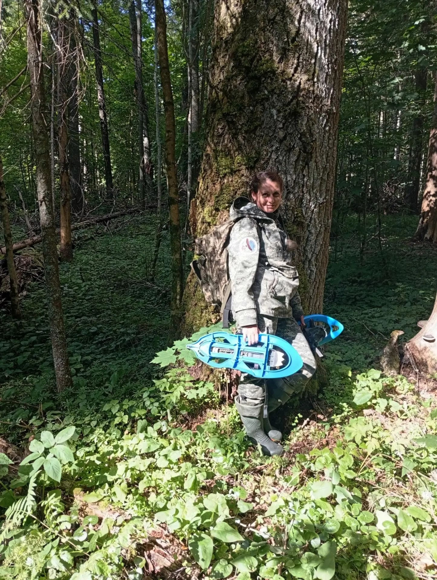 В Тверской области расширяют границы гнездования краснокнижных хищников