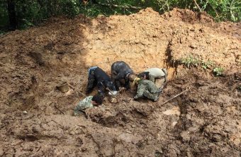 В Тверской области подняты останки 51 бойца Красной армии области