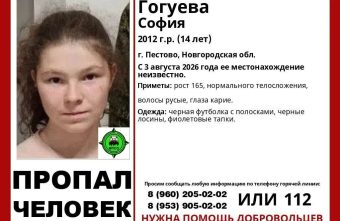 В Тверской области может находиться пропавшая девочка из соседнего региона девочка