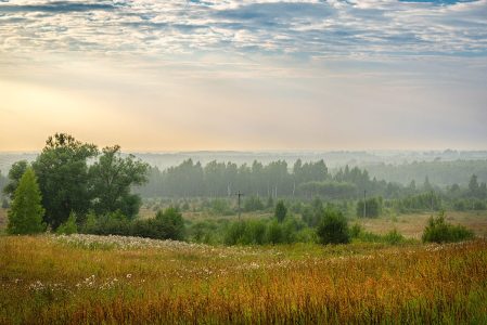 Синоптики сообщили, чем удивит погода жителей Тверской области в выходные выходные