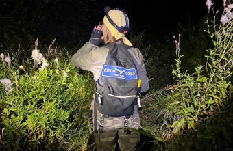 На поиски пропавшего в Тверской области мальчика объявлен масштабный сбор добровольцев На поиски пропавшего в Тверской области мальчика объявлен масштабный сбор добровольцев